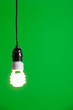 Green Light isolated hanging in the studio