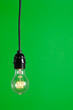 Green Light isolated hanging in the studio