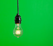 Green Light isolated hanging in the studio