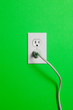Green Wall outlet