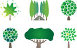 Tree logo