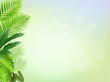Tropical leaf background