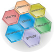 A set of functional bricks defines a social network type