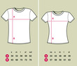 T-Shirt Sizes (men and women)