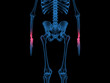 Wrist joint
