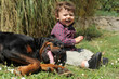 enfant et rottweiler