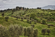 toscana 1