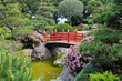 Japanese garden