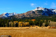 Fall Season In The Sierras