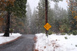 School Bus Stop Sign And Storm