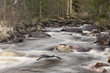 Spring stream running through forest Spring stream running through forest