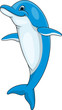 Funny dolphin cartoon