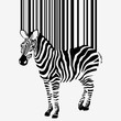 abstract vector zebra silhouette with barcode