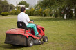 Ride-on lawn mower cutting grass