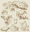 farm - hand drawn set