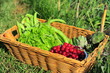 Panier de fruits et légumes Bio