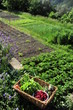 Jardin Bio