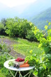 Jardin Bio