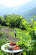 Jardin Bio