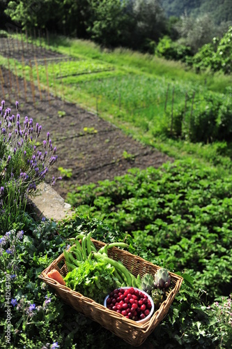 Photo: Jardin Bio Jardin Bio