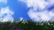 Grass and flowers.
