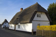 Thatched houses