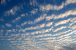 Natural pattern