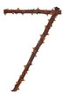 Photo: number stalk of a rose number stalk of a rose