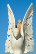 FRIEDENSTAUBE VALENCIA FRIEDENSTAUBE VALENCIA