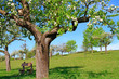 Frühlingslandschaft