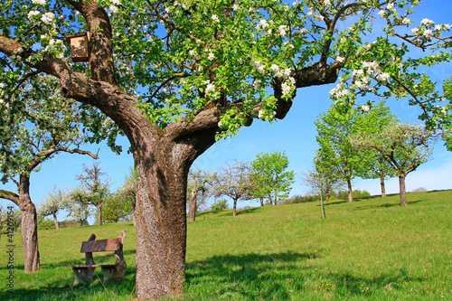 Photo: Frühlingslandschaft Frühlingslandschaft