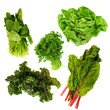 healthy dark green vegetables on a white background healthy dark green vegetables on a white background