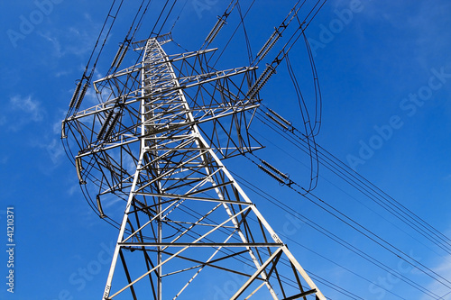 Photo: Power Line Power Line