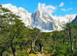 canvas print picture - Hiker trekking in nature landscape in Patagonia, Argentina