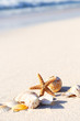 Starfish on the Beach