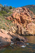 Corse scandola