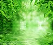 Zen Bamboo Forest,sun and water. Zen Bamboo Forest,sun and water.