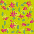 composition passiflores passiflora composition passiflores passiflora