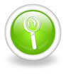 Light Green Icon "Magnifying Glass / Search"