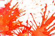 varicolored drops on paper. isolated