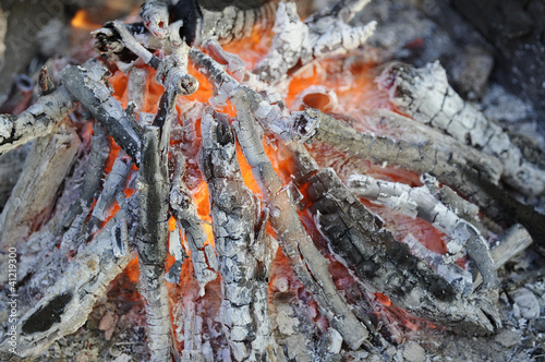 Photo: ember ember