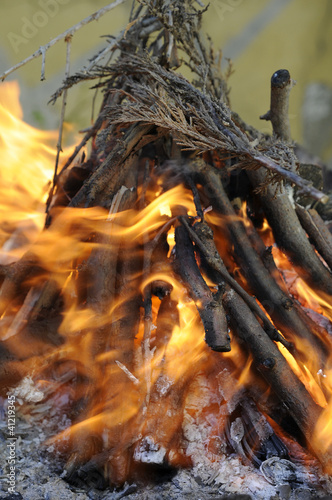 Photo: ember ember