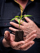 Photo: Plant of future Plant of future