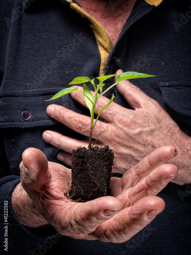 Photo: Plant of future Plant of future