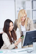 junge frauen planen etwas am computer
