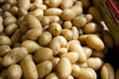Macadamia Nuts