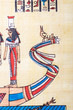 Egyptian papyrus as a background Egyptian papyrus as a background