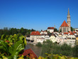 Steyr Oberösterreich Altstadt Ansicht mit Ennsfluss
