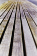 holz