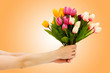Hand with tulips on gradient Hand with tulips on gradient